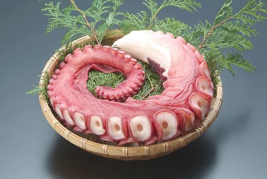 北海道産たこ足（ボイル・刺身用） - 函館マルヤマ商店