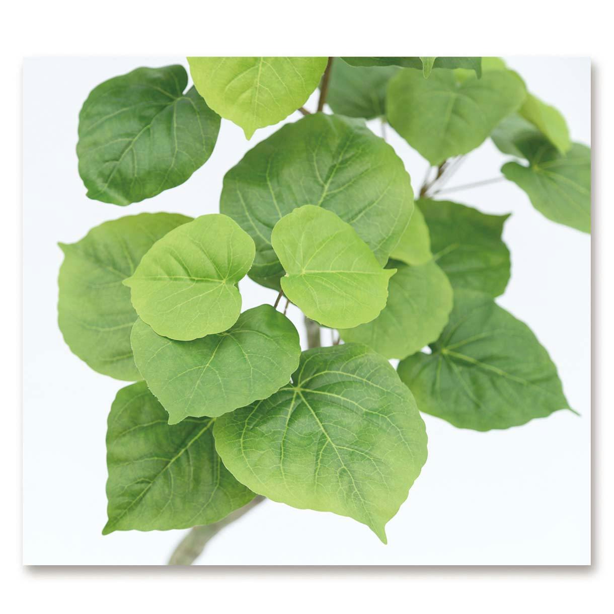 GREEN COFFRET ウンベラータスモールリーフ90cm 人工観葉植物 フェイク