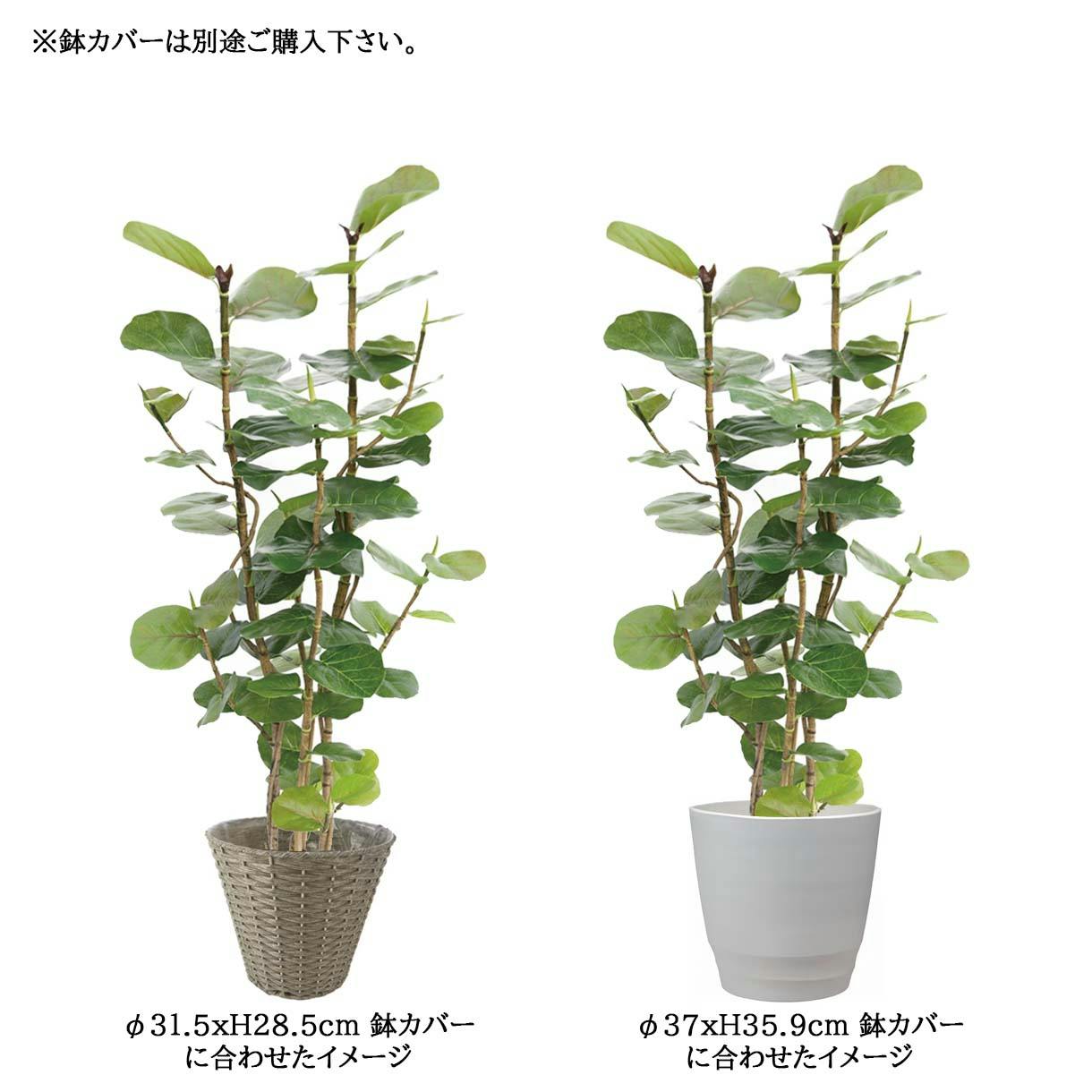 GREEN COFFRET シーグレープ160cm 人工観葉植物 フェイクグリーン