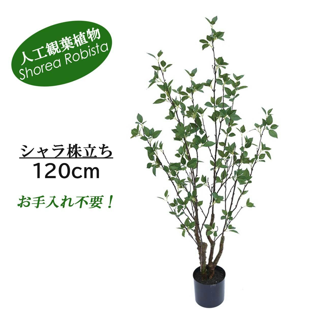 GREEN COFFRET シャラ株立ち120cm 人工観葉植物 フェイクグリーン