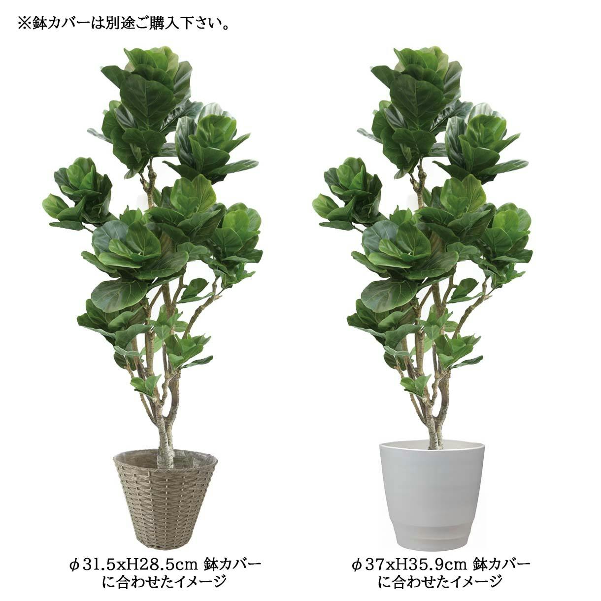 GREEN COFFRET カシワバゴム180cm 人工観葉植物 フェイクグリーン