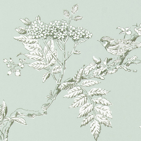 壁紙 ローラ アシュレイ BL2908 Elderwood エルダーウッド シンコール