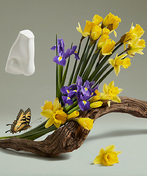 ペンハリガン（PENHALIGONS） ザ リベンジ オブ レディ ブランシュ