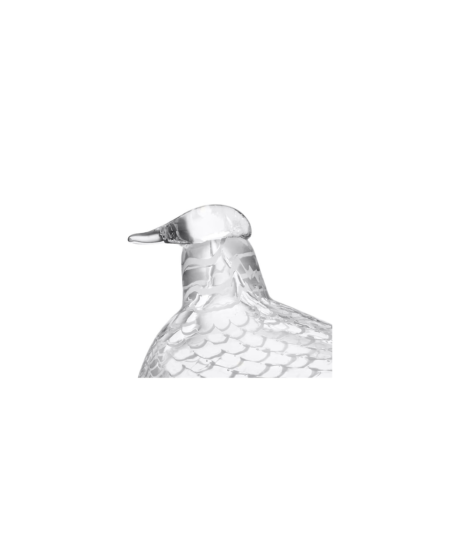 バード バイ トイッカ メディエータードーブ | iittala/イッタラ