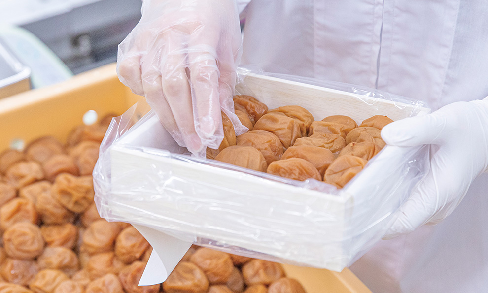 紀州南高梅 うす塩味梅干 特大粒 木箱 800g | 石神邑公式オンライン