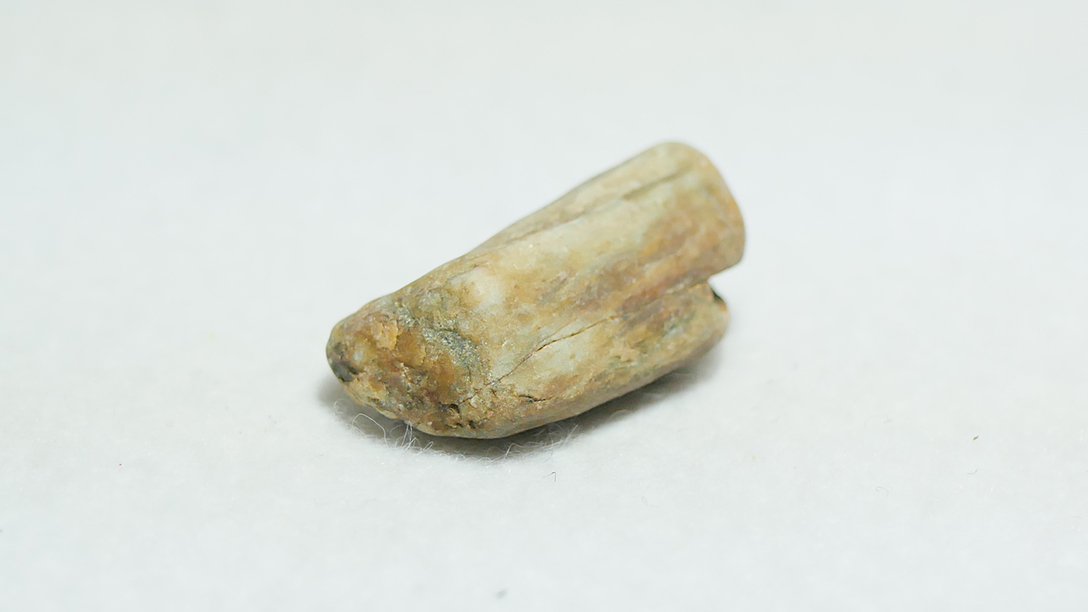 珪化木に巡り会いたい 相模川でひろった珪化木らしき石 | 石拾い 川