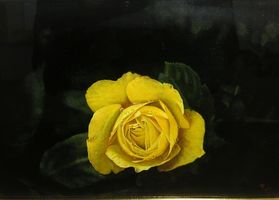 大畑稔浩 油彩画 『バラ』】絵画の買取実績一覧 - いわの美術