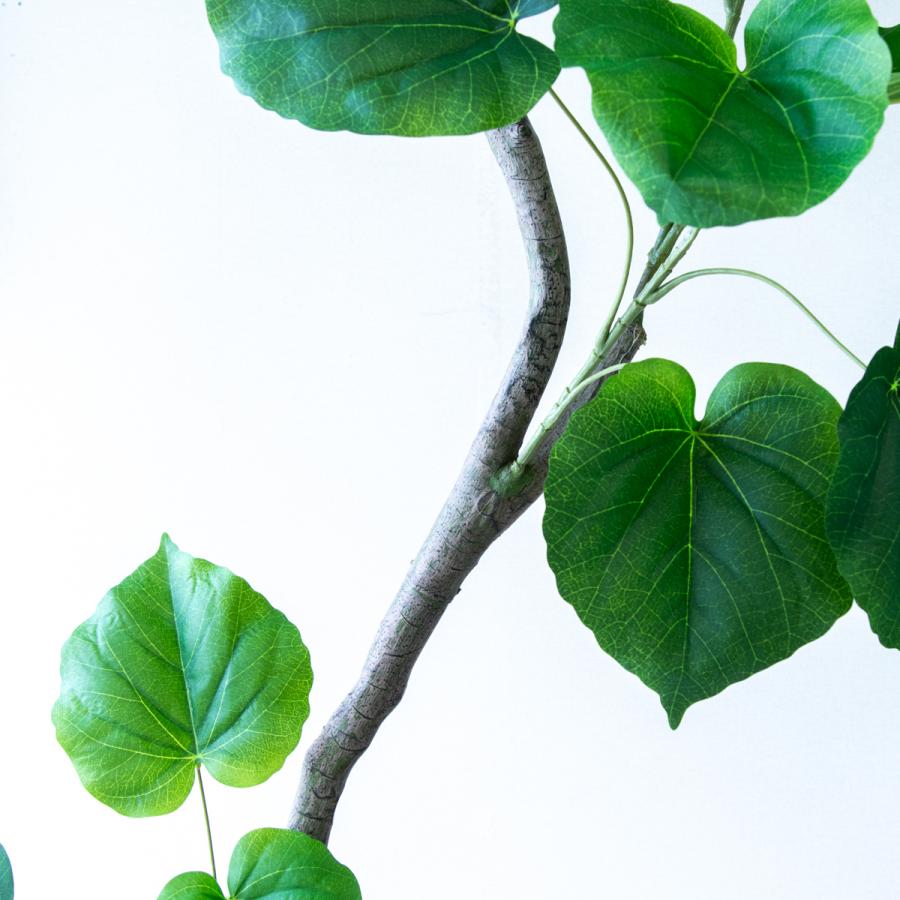 ☆立札無料☆【すぐ飾れる】 フェイクグリーン 人工観葉植物 フィカス