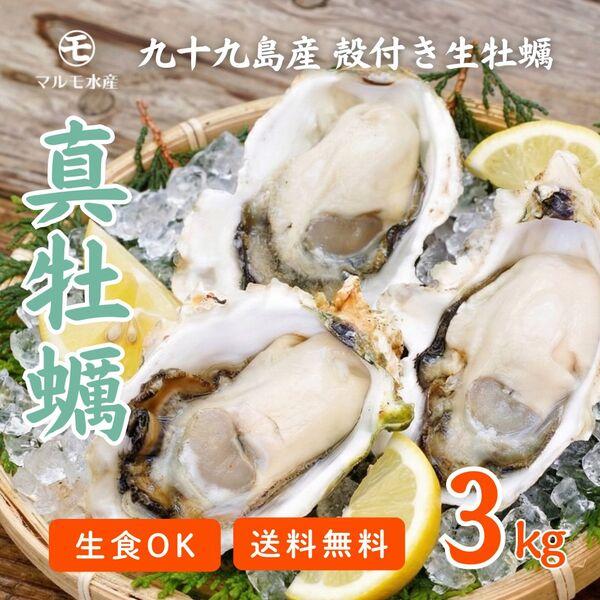 2026年☆出荷当日に水揚げ・発送 ！九十九島かき 殻付き真牡蠣(生食用