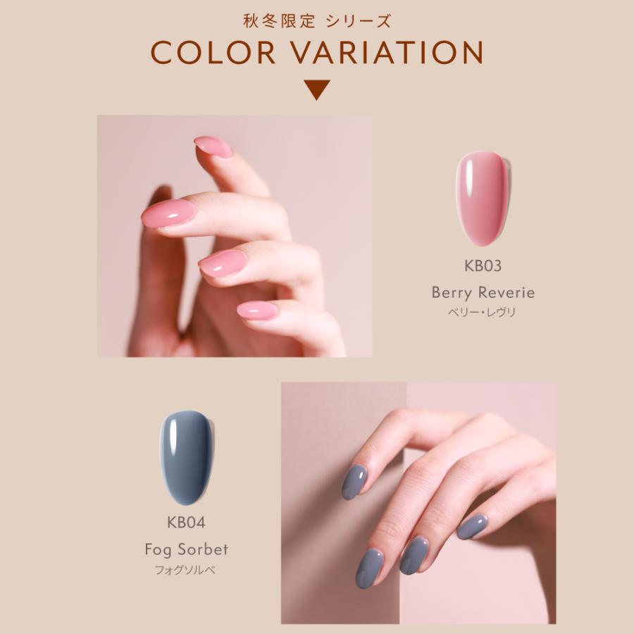 初心者セット】秋冬新色発売 スターターキット HEMAフリー はがせる