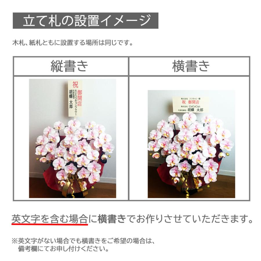 閉店セール☆75％OFF】光触媒 胡蝶蘭 3本立ち 造花 ギフト 開店祝い