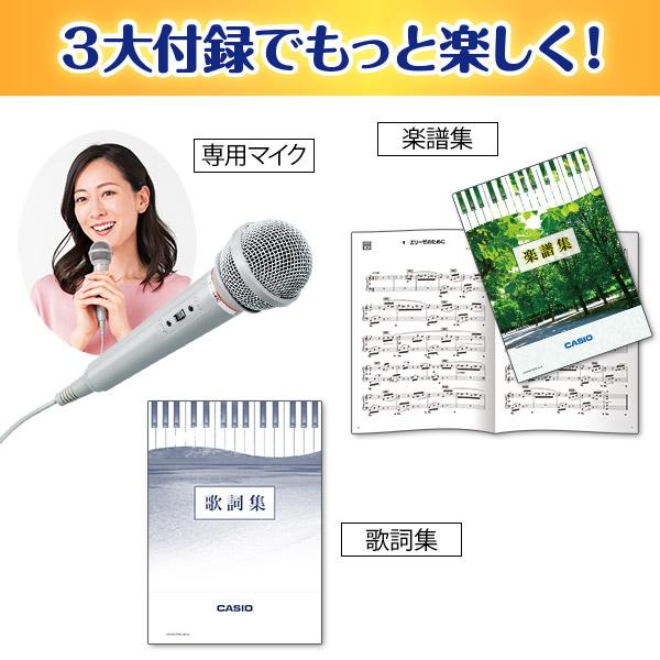 CASIO（カシオ） 楽らくキーボード LK-536 ユーキャンオリジナル CASIO