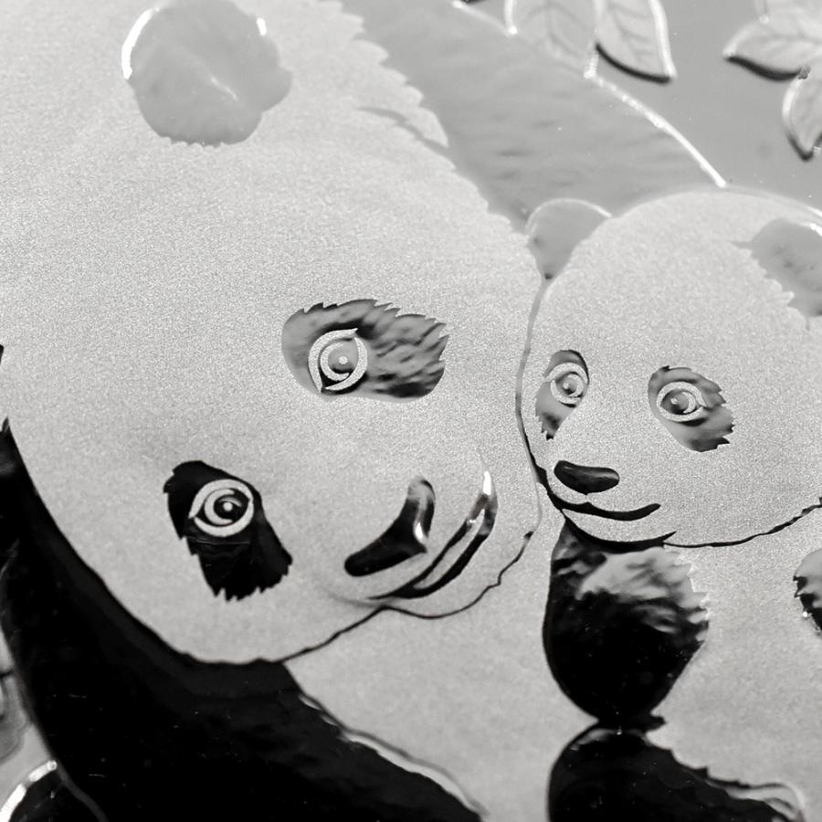 ☆即納追跡可☆ 中国 2015-2024 パンダ 10元 30g 銀貨10枚セット 箱