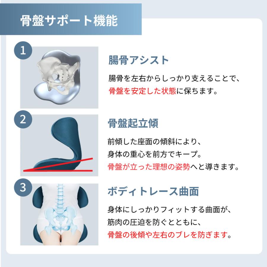 Style（スタイル） 姿勢 サポートチェア MTG スタイルスマート Style