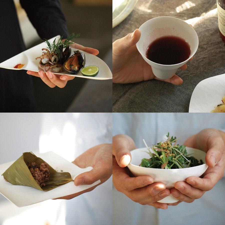 WASARA（ワサラ） 紙のお皿 コンポート皿50枚セット (DM-008S) 紙の器