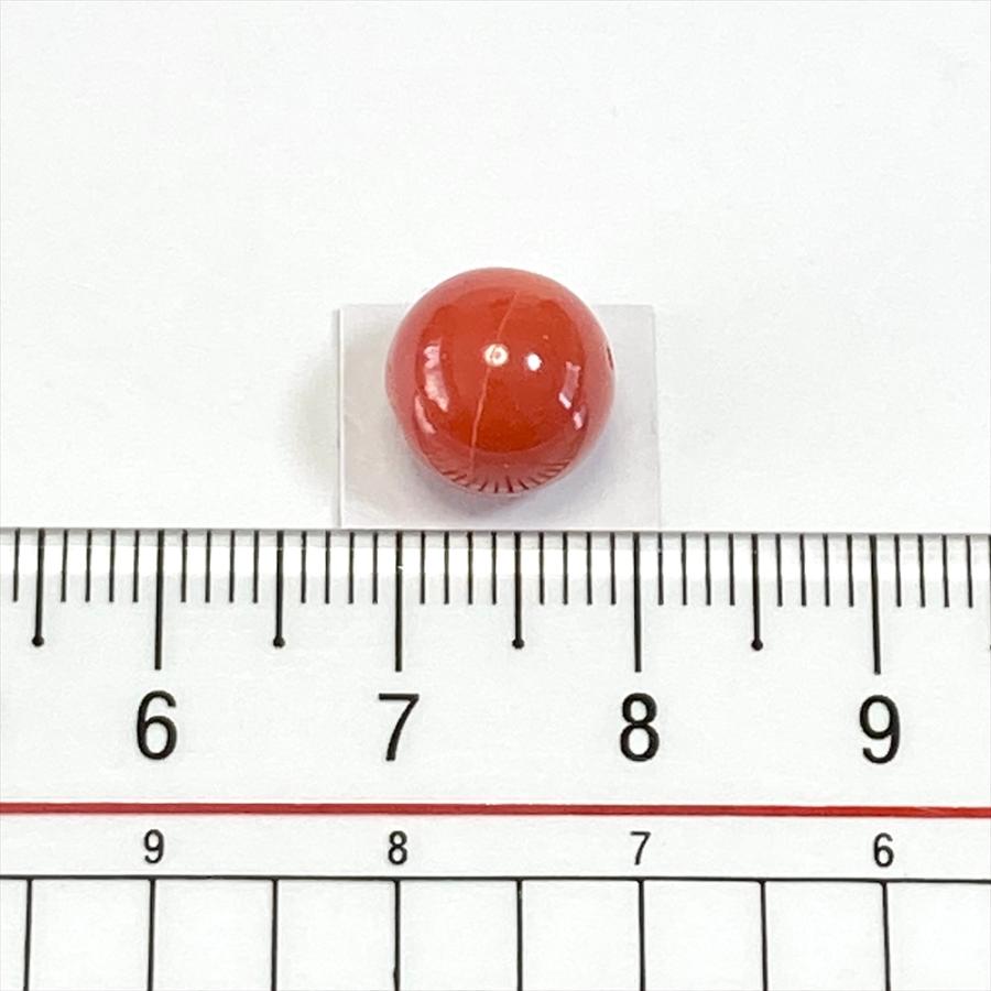珊瑚 裸石 ルース 血赤珊瑚 9.6mm玉 貫通 高知県産 日本産 天然