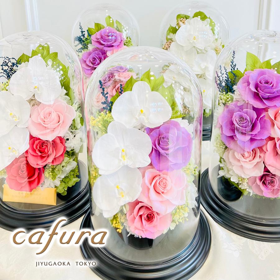 プリザーブドフラワー 仏花 胡蝶蘭 ガラスドーム 御祝 お供え お悔やみ