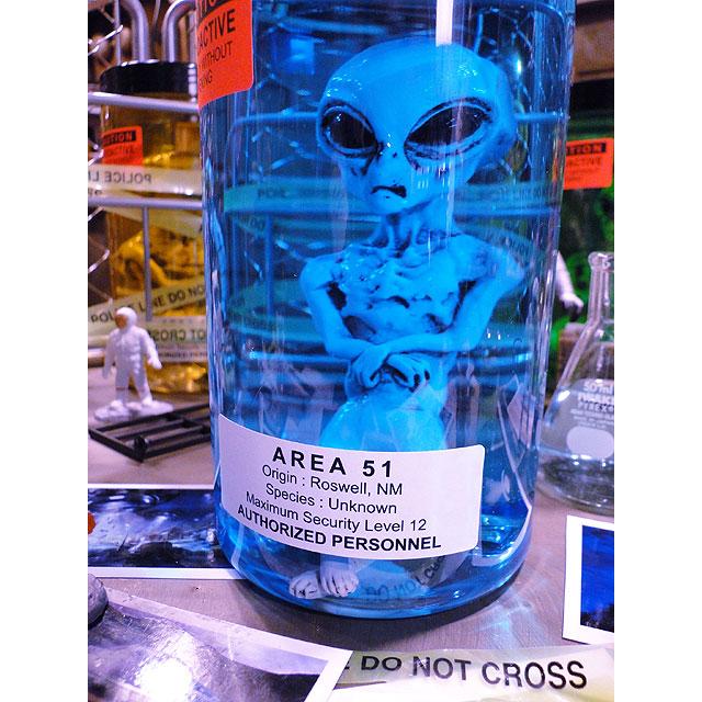 累計販売数5000個突破！ エリア51 エイリアンのホルマリン漬け