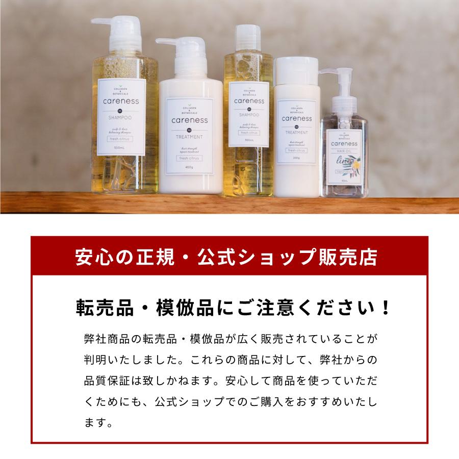 公式 ケアネス careness 美容室専売 シャンプー トリートメント 大