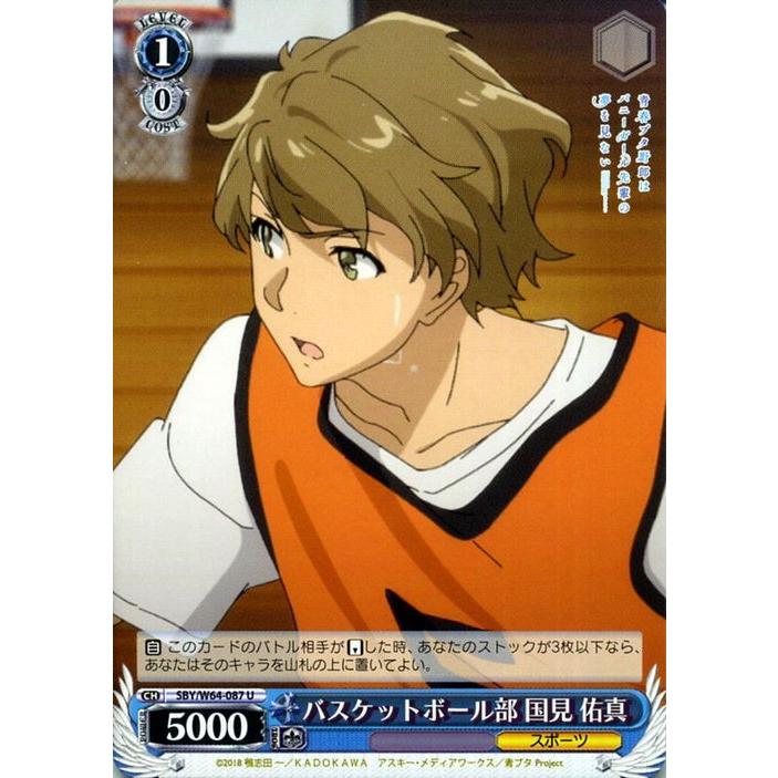 ヴァイスシュヴァルツ 青春ブタ野郎はバニーガール先輩の夢を見ない