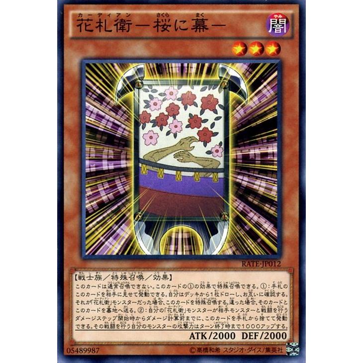遊戯王オフィシャルカードゲーム デュエルモンスターズ 遊戯王カード