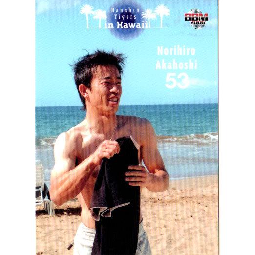 BBM2006 阪神タイガース レギュラーカード No.T099 赤星憲広 : かーど