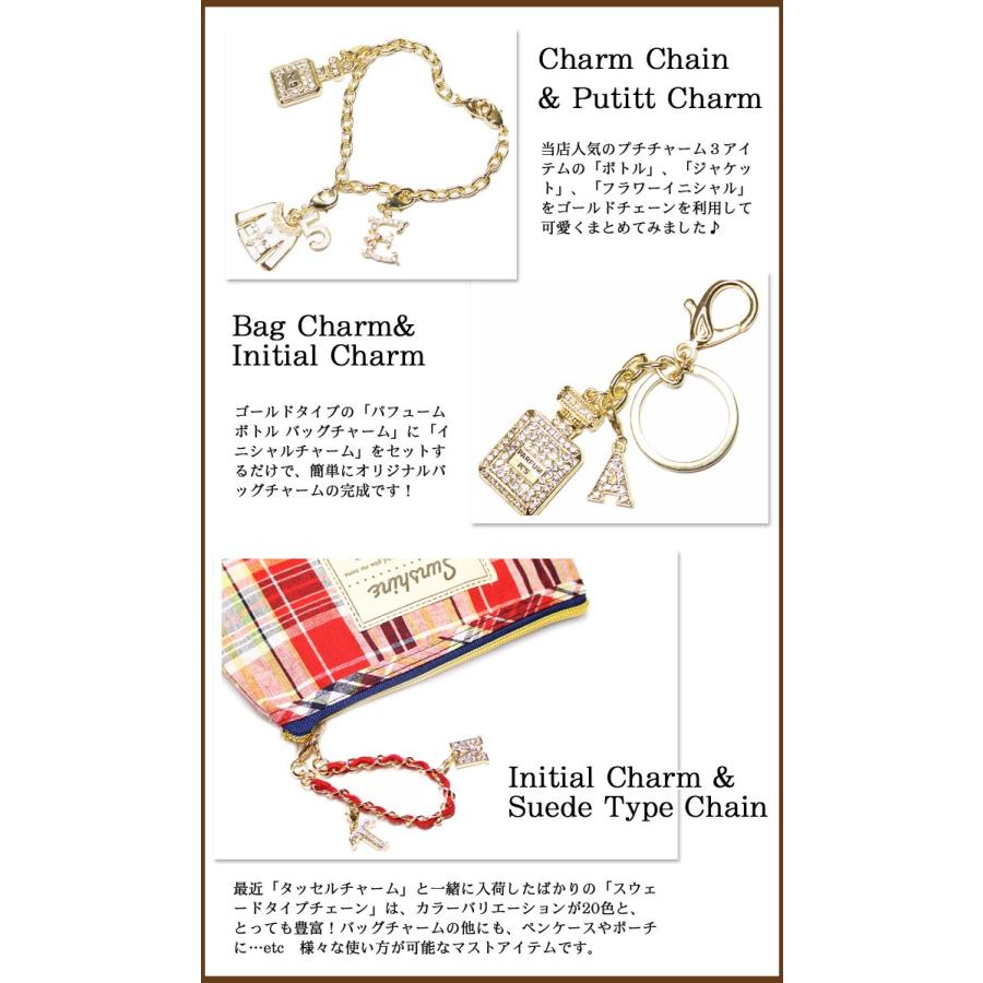 チャーム アクセサリー レディバグ てんとう虫 charm レディース