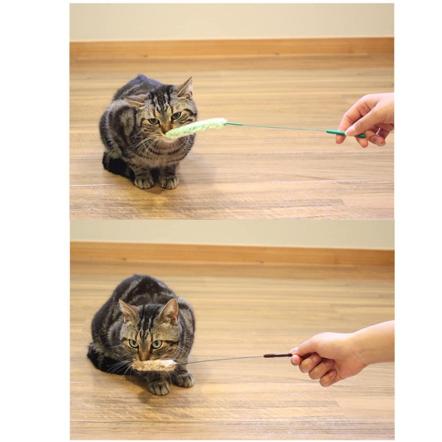 じゃれねこチャンチャームリボン×ミケ猫