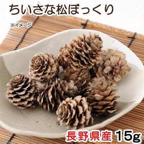 Leaf Corp 国産 ちいさな松ぼっくり 15g 小動物のおもちゃ パイン