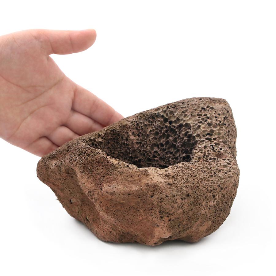 チャーム（charm） 形状お任せ 溶岩石鉢 Mサイズ 底穴有り（1個