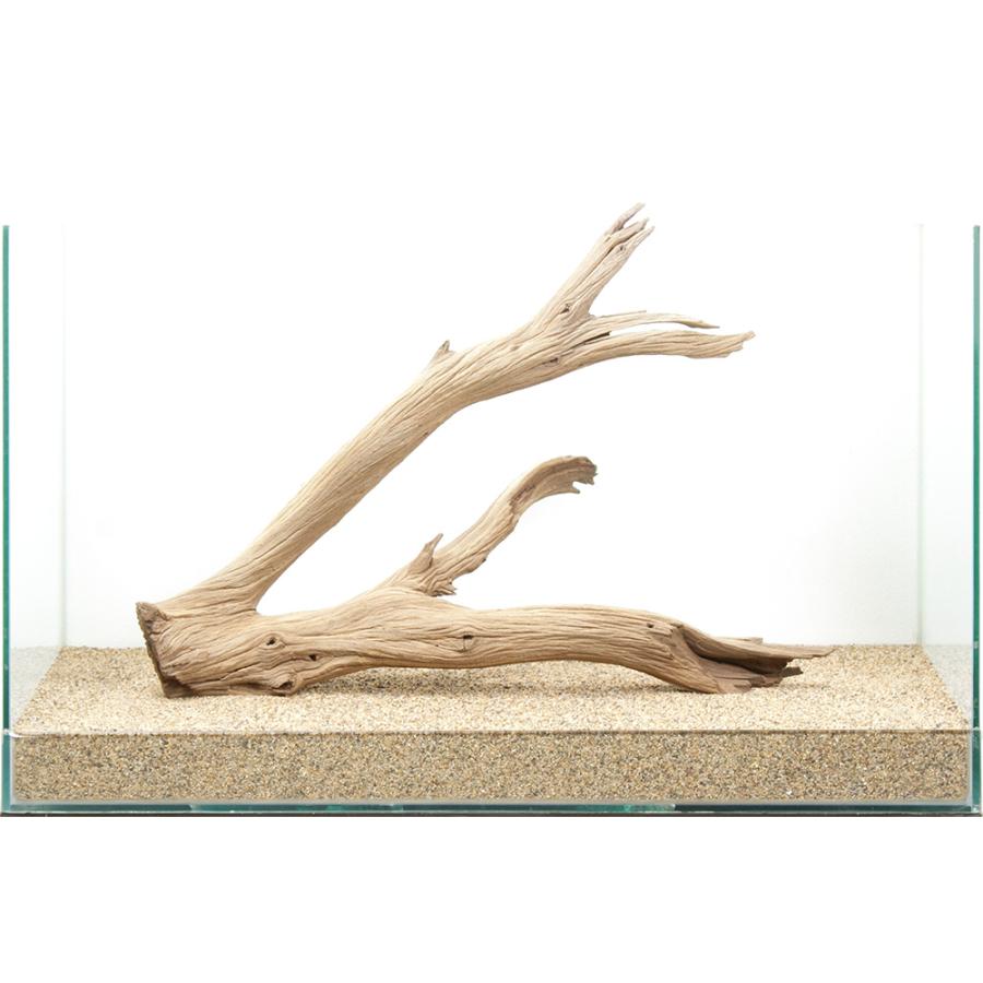 一点物 上質流木 禅 60cm水槽用 880659 : チャーム charm