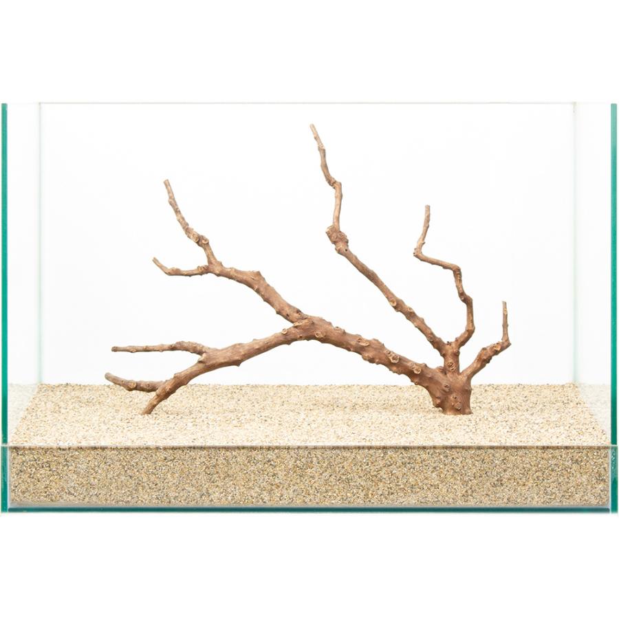 一点物 極上流木 45cm水槽用 880793 : チャーム charm