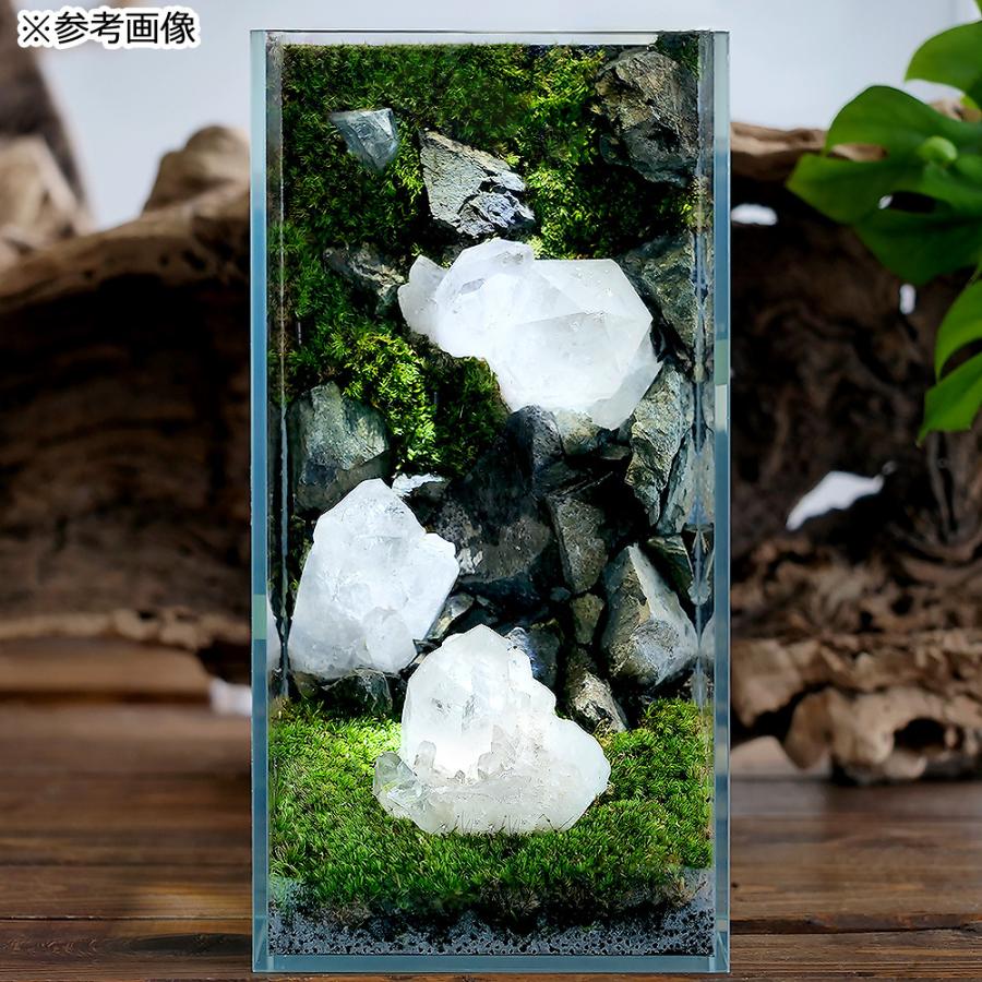 チャーム（charm） 形状お任せ グリーンフローライト（蛍石） 100g