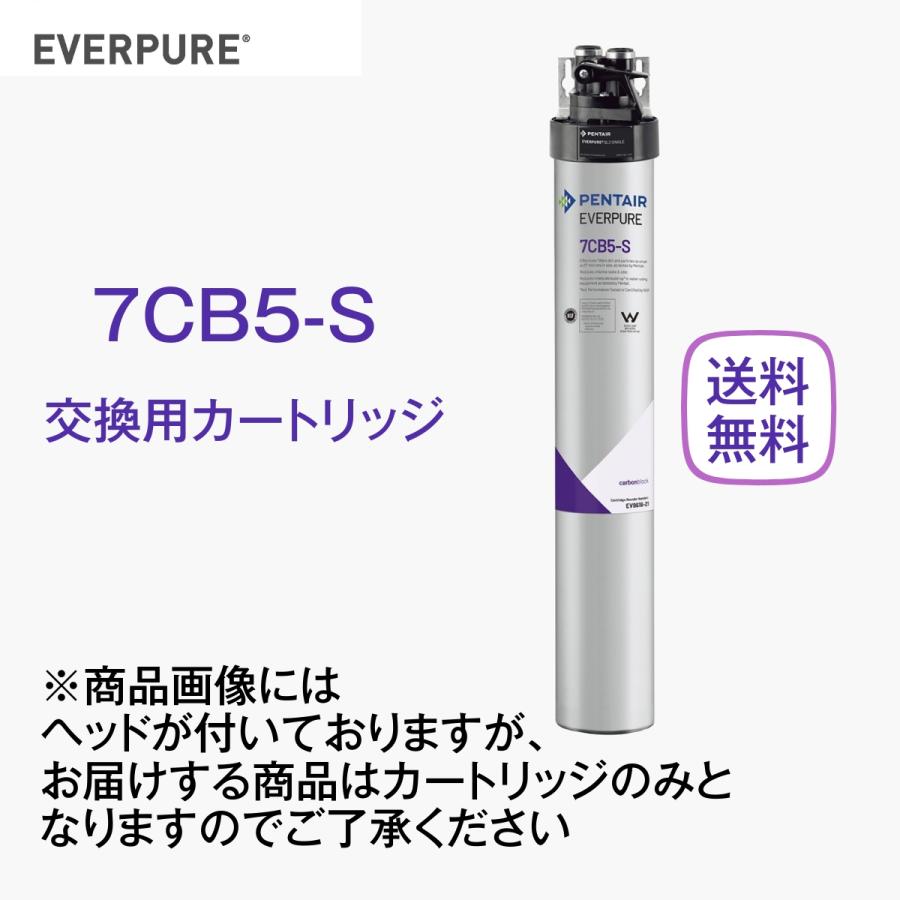 エバーピュア 7CB5-S 浄水器カートリッジ 業務用 : 厨房 キッチン