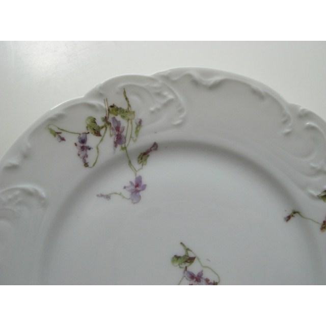 アビランド プレート スミレ C フランス アンティーク リモージュ