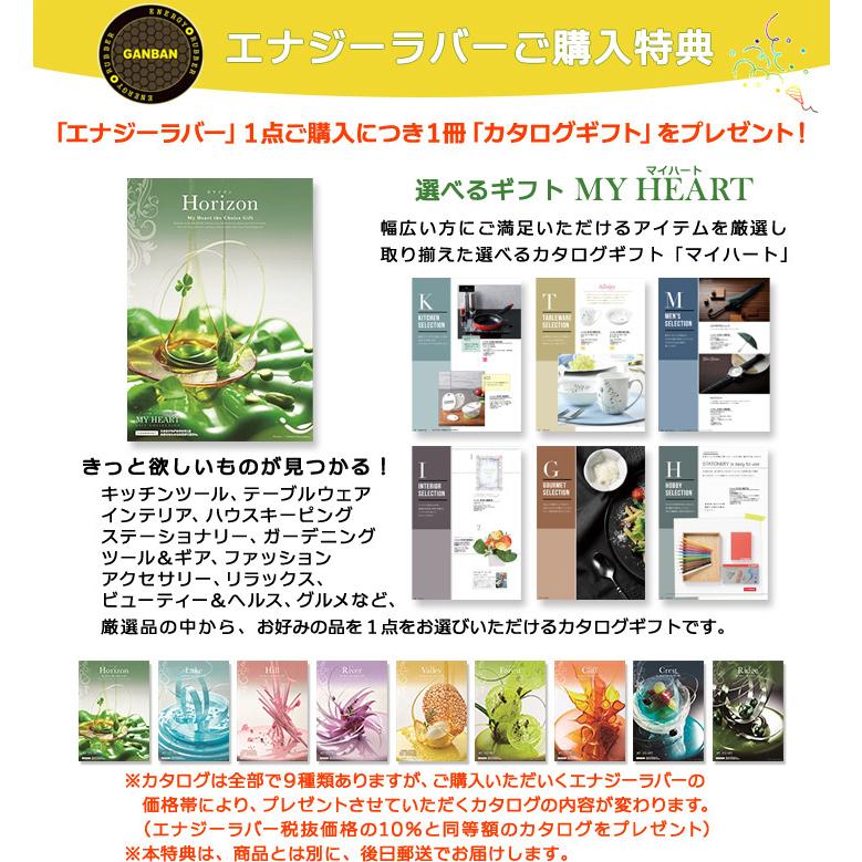 エナジーラバー マルチバンドGB カタログギフトプレゼント 超遠赤 株式
