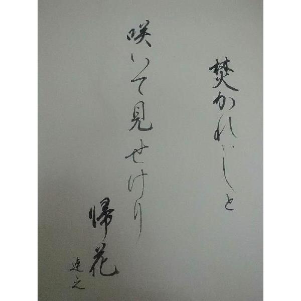 掛け軸 江戸俳諧 焚火 松本蓮之（俳句) 武田拓也（書・絵) 掛軸 俳画
