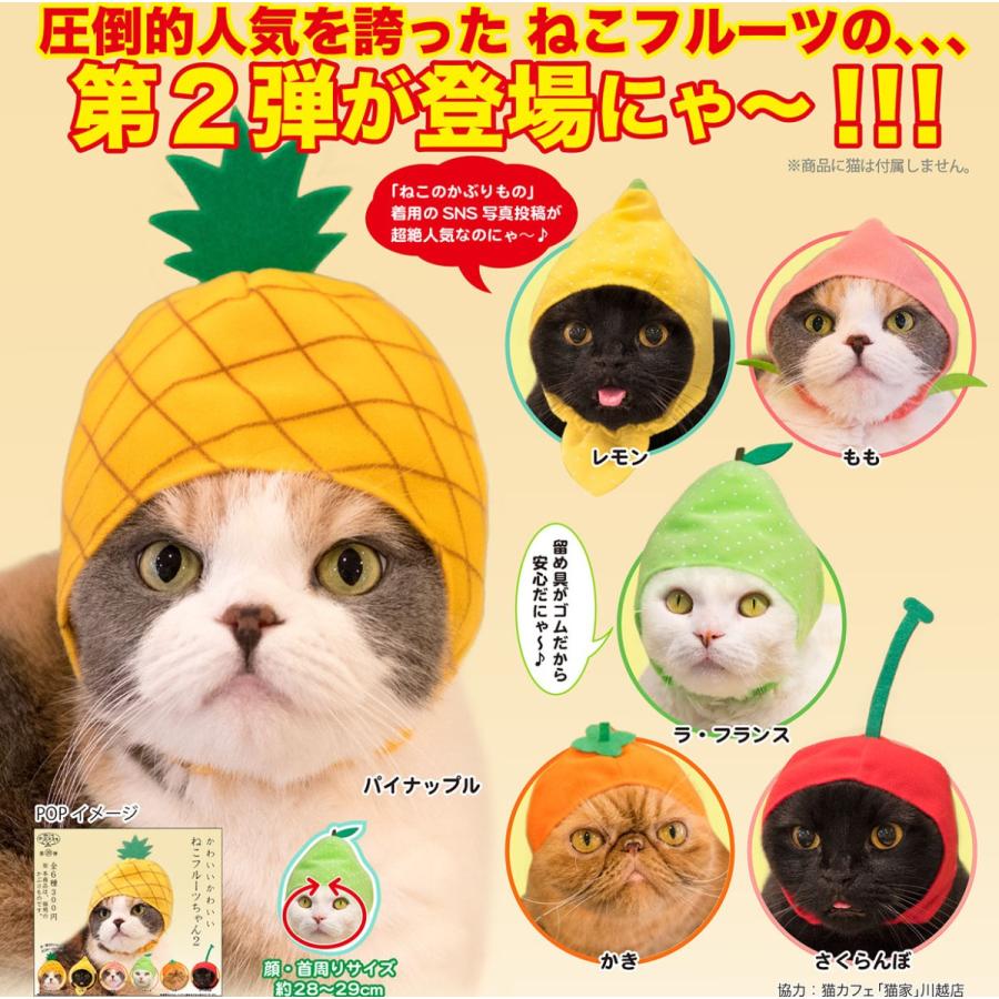 かわいいかわいい ねこフルーツちゃん2 全6種セット コンプ