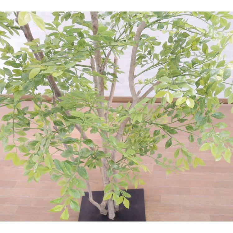 シマトネリコ の木 150cm (明るめの葉 造花 インテリア フェイク