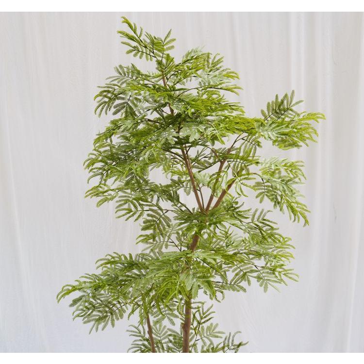 エバーフレッシュ 180cm (ネムノキ 造花 インテリア 人工 観葉植物