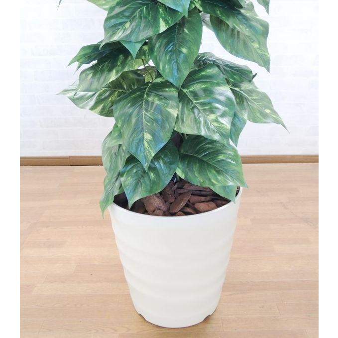 大きな葉 ジャイアント ポトス タワー 180cm (インテリア グリーン