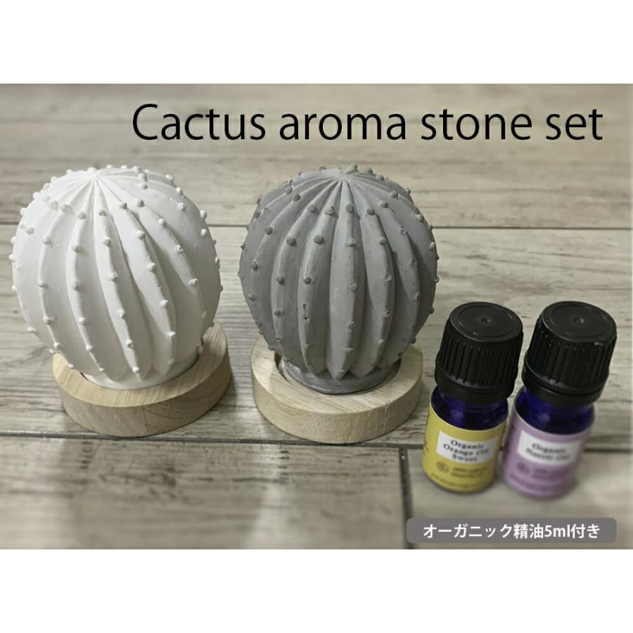 &SH おしゃれ シンプル アロマストーンセット サボテン オーガニック