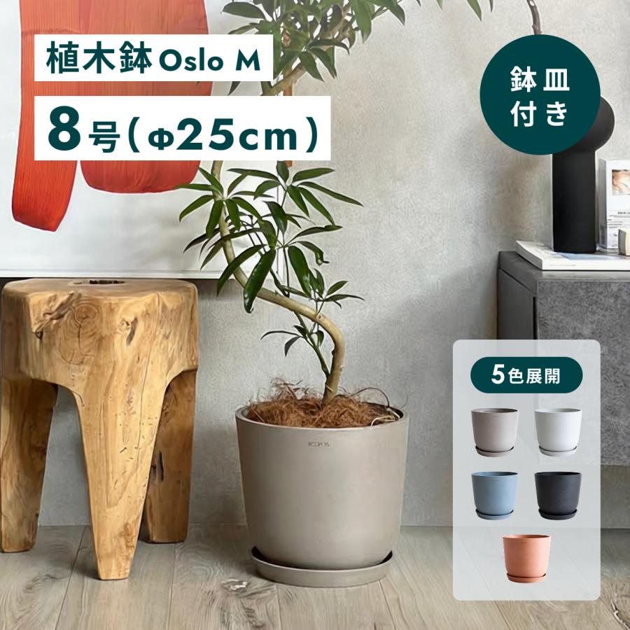AND PLANTS（アンドプランツ） 植木鉢 鉢 ecopots Oslo 8号 おしゃれ