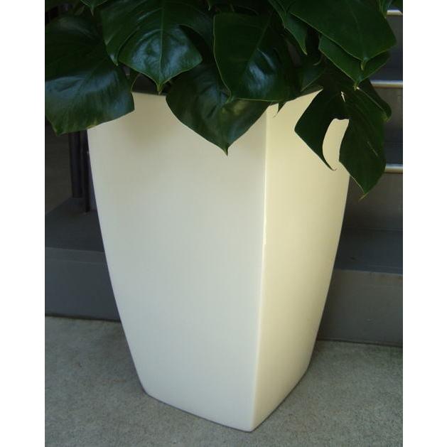 観葉植物 特大 モンステラ 大型ホワイトスクエア鉢ファイバーグラス