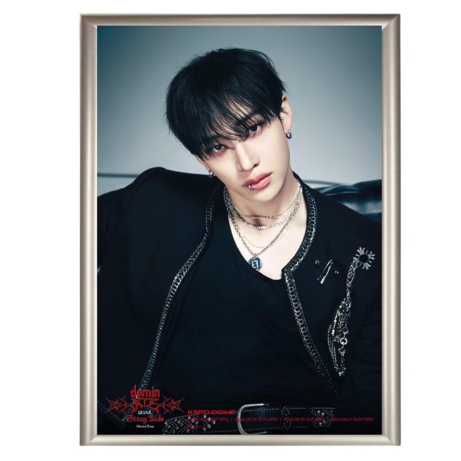 バンチャン StrayKids ストレイキッズ スキズ フォトプレート 額入り