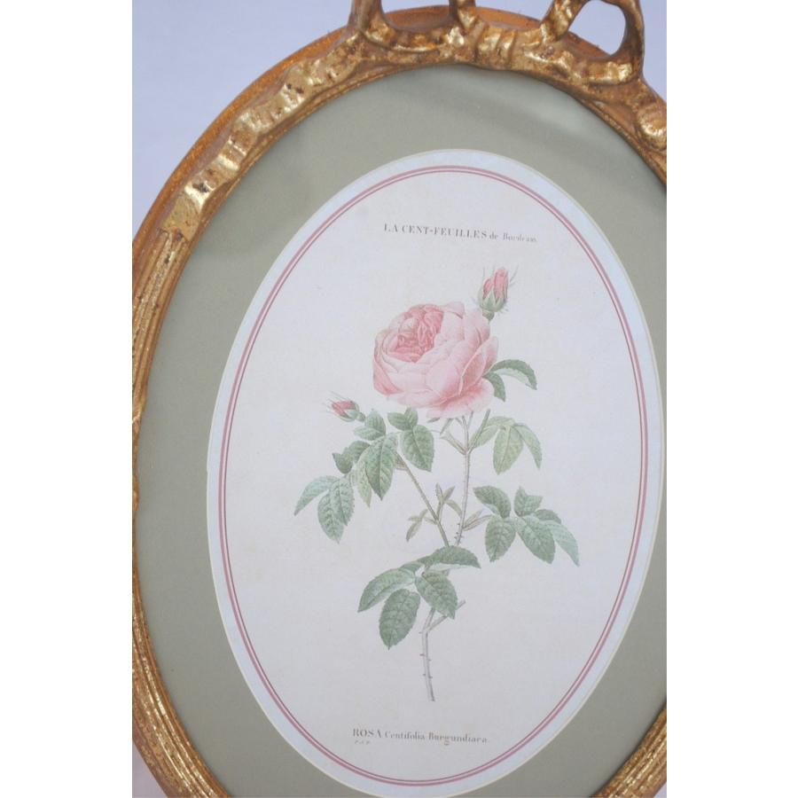 ルドゥーテ 薔薇の額絵 壁掛け リボン額縁 可愛い アンティーク風
