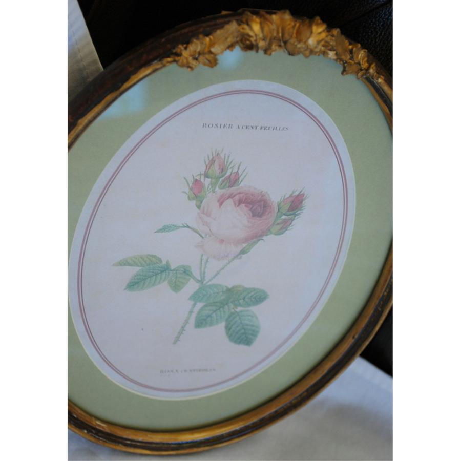 ルドゥーテ 薔薇の額絵 壁掛け 額縁 可愛い アンティーク風 バラ額