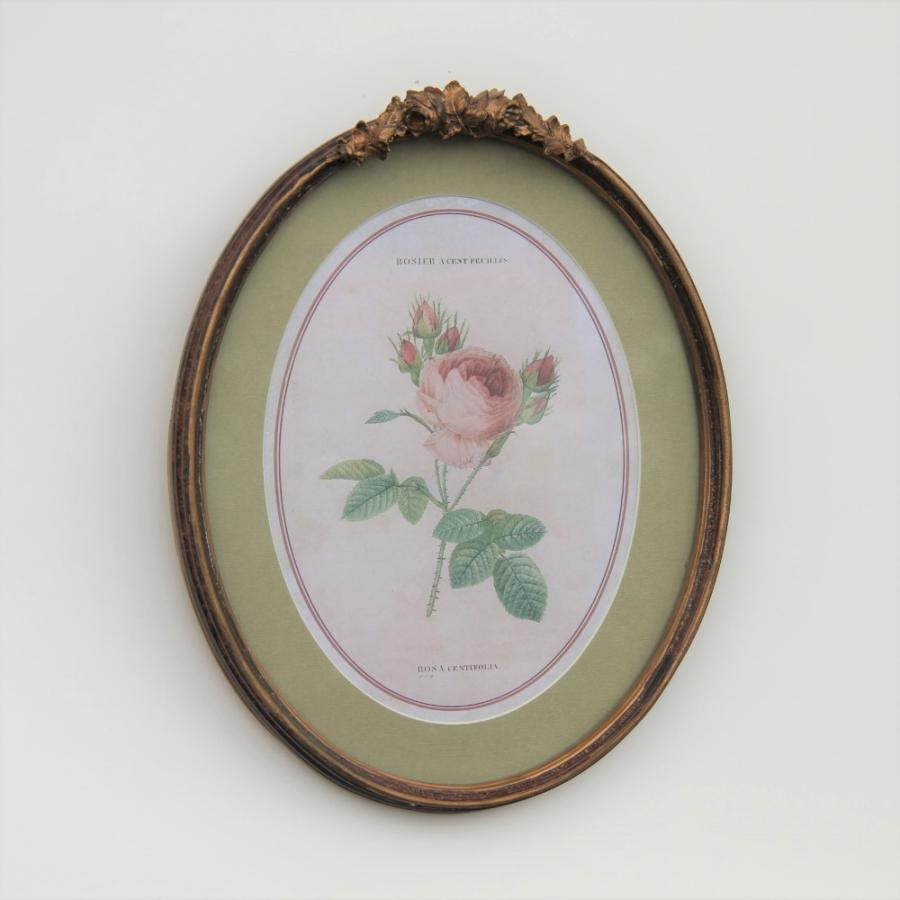 ルドゥーテ 薔薇の額絵 壁掛け 額縁 可愛い アンティーク風 バラ額