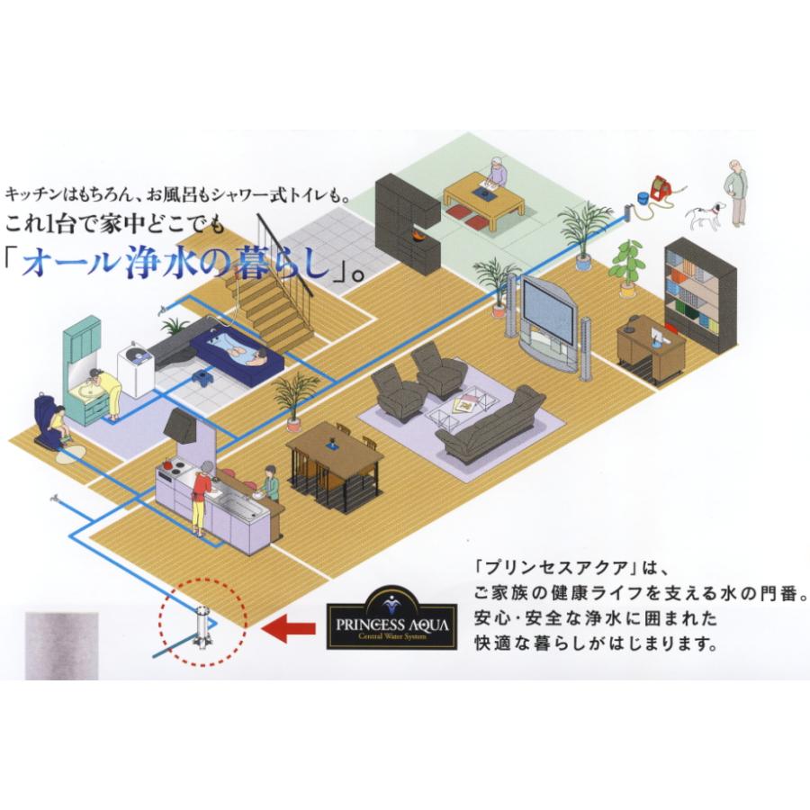 プリンセスアクア（PRINCESS AQUA)PA-400元付けセントラル浄水器NEW
