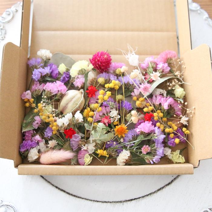 ドライフラワー 詰め合わせ 花材セット MIX （ミモザ・スターチス